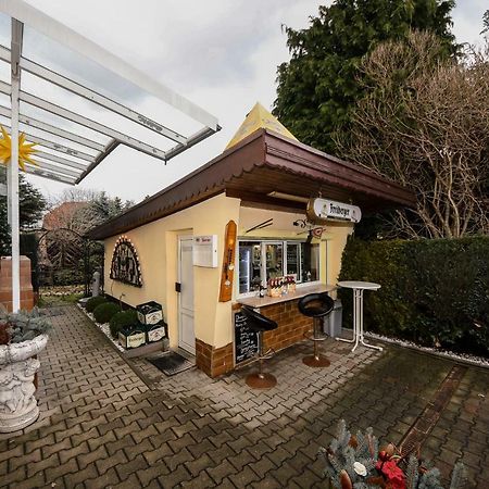 Pension Seilerberg Freiberg Exterior foto